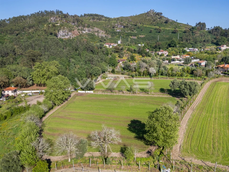 Terreno para Venda em Coucieiro Foto 4