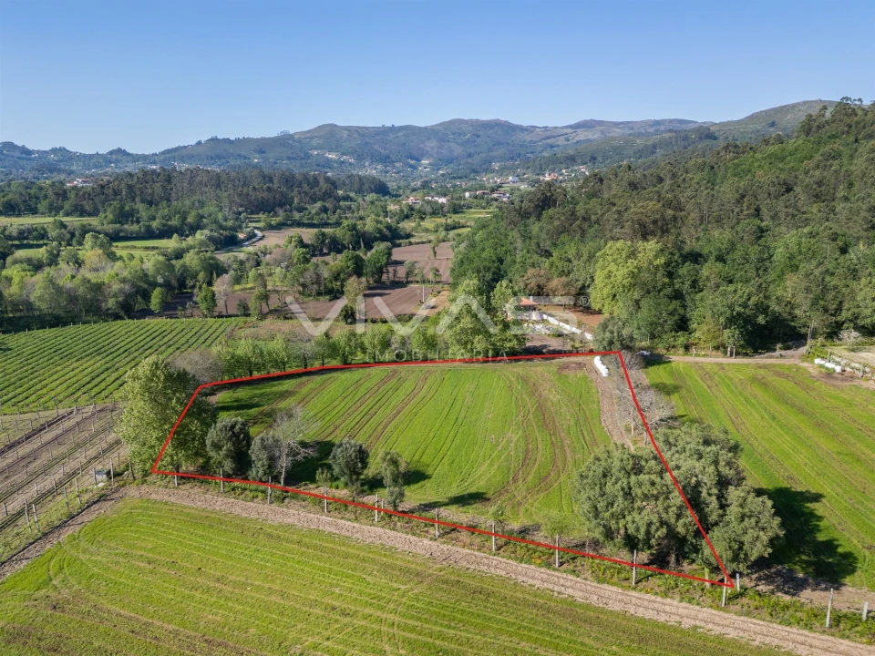 Terreno para Venda em Coucieiro Foto 23