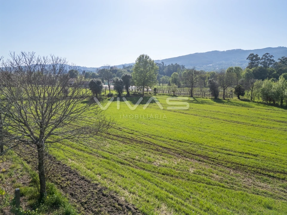 Terreno para Venda em Coucieiro Foto 13