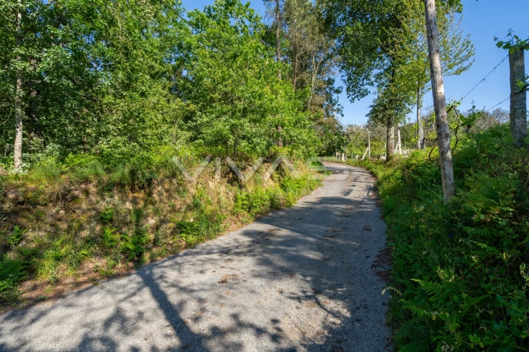 Terreno para Venda em Coucieiro Foto 21