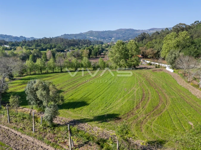 Terreno para Venda em Coucieiro Foto 10