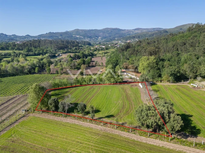 Terreno para Venda em Coucieiro Foto 23