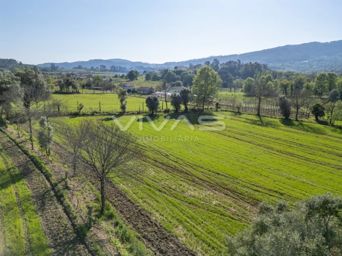 Terreno para Venda em Coucieiro Foto 12