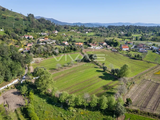 Terreno para Venda em Coucieiro Foto 1