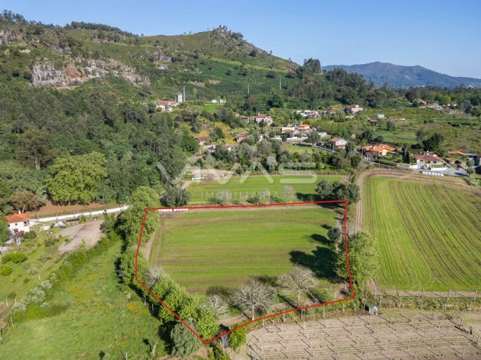 Terreno para Venda em Coucieiro Foto 22