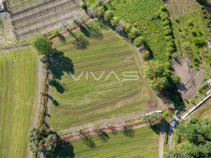 Terreno para Venda em Coucieiro Foto 25
