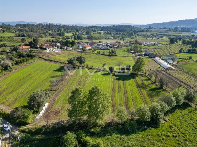 Terreno para Venda em Coucieiro Foto 2