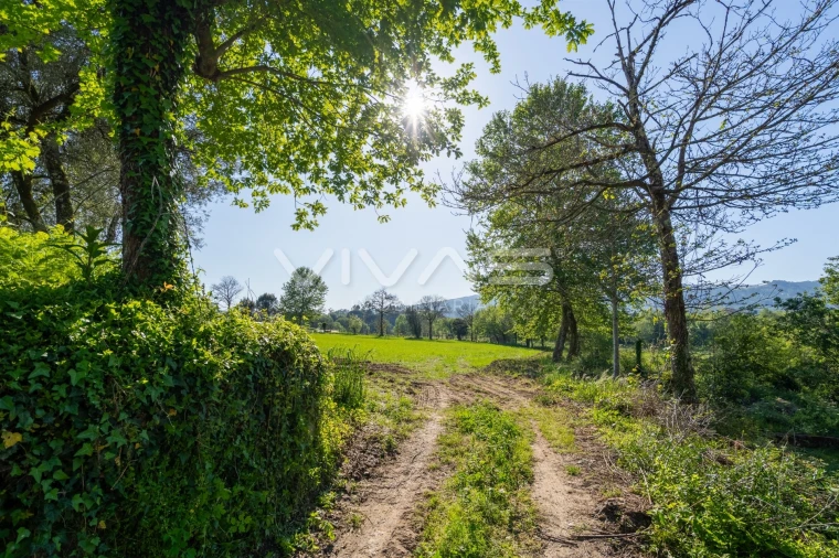 Terreno para Venda em Coucieiro Foto 19