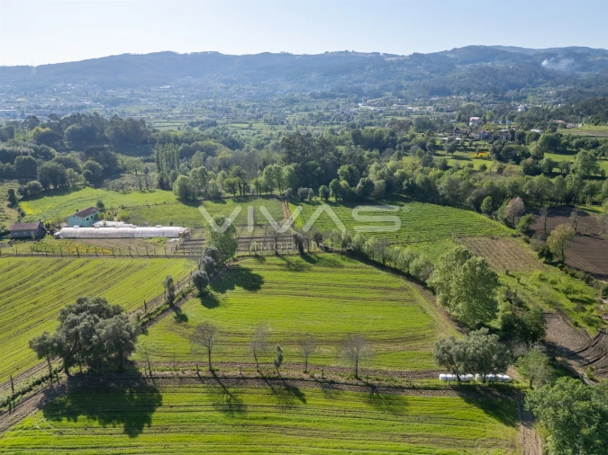 Terreno para Venda em Coucieiro Foto 8