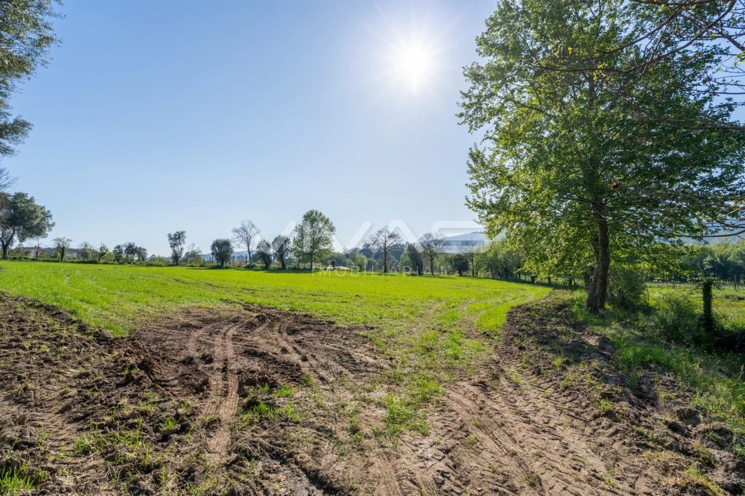 Terreno para Venda em Coucieiro Foto 17
