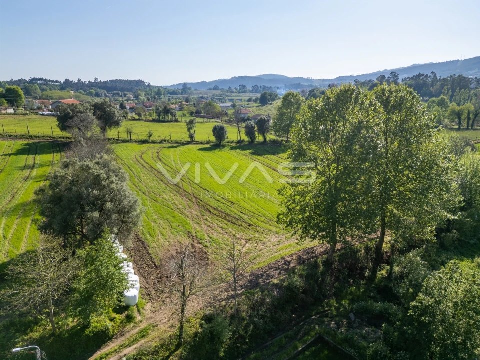 Terreno para Venda em Coucieiro Foto 15