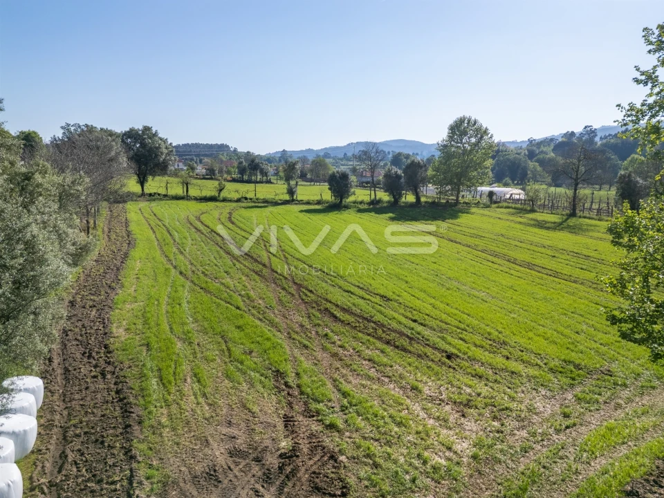 Terreno para Venda em Coucieiro Foto 16