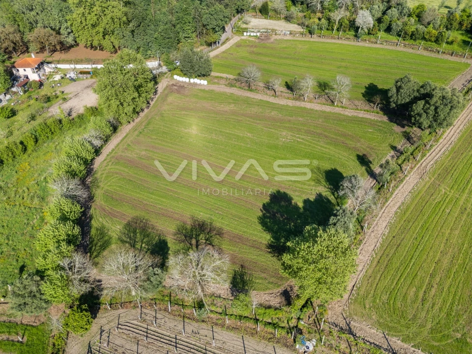 Terreno para Venda em Coucieiro Foto 3