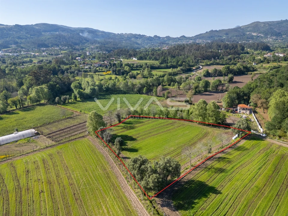 Terreno para Venda em Coucieiro Foto 24