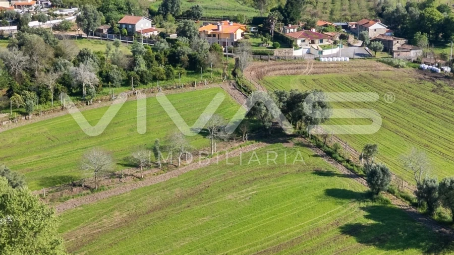 Terreno para Venda em Coucieiro