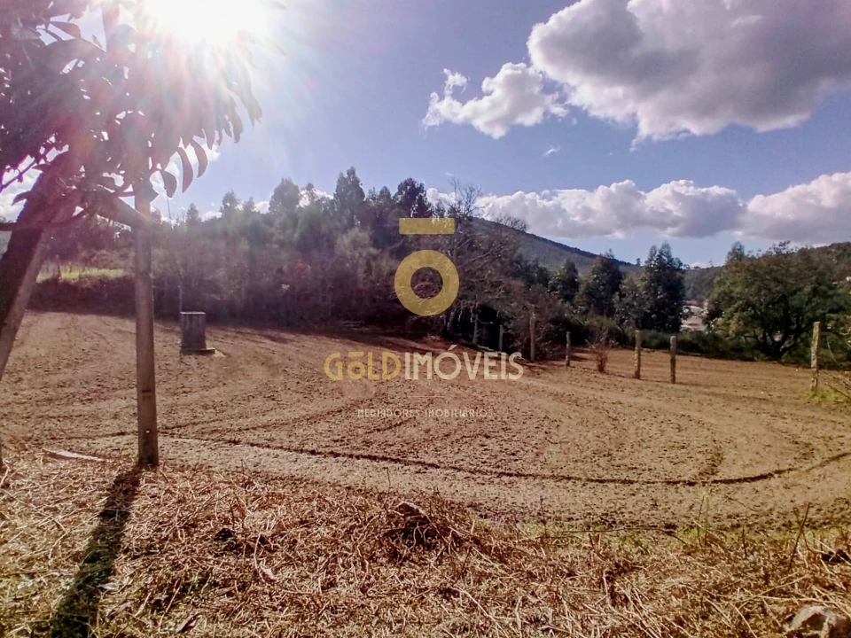 Quinta T2 para Venda em Santa Maria de Sardoura Foto 17