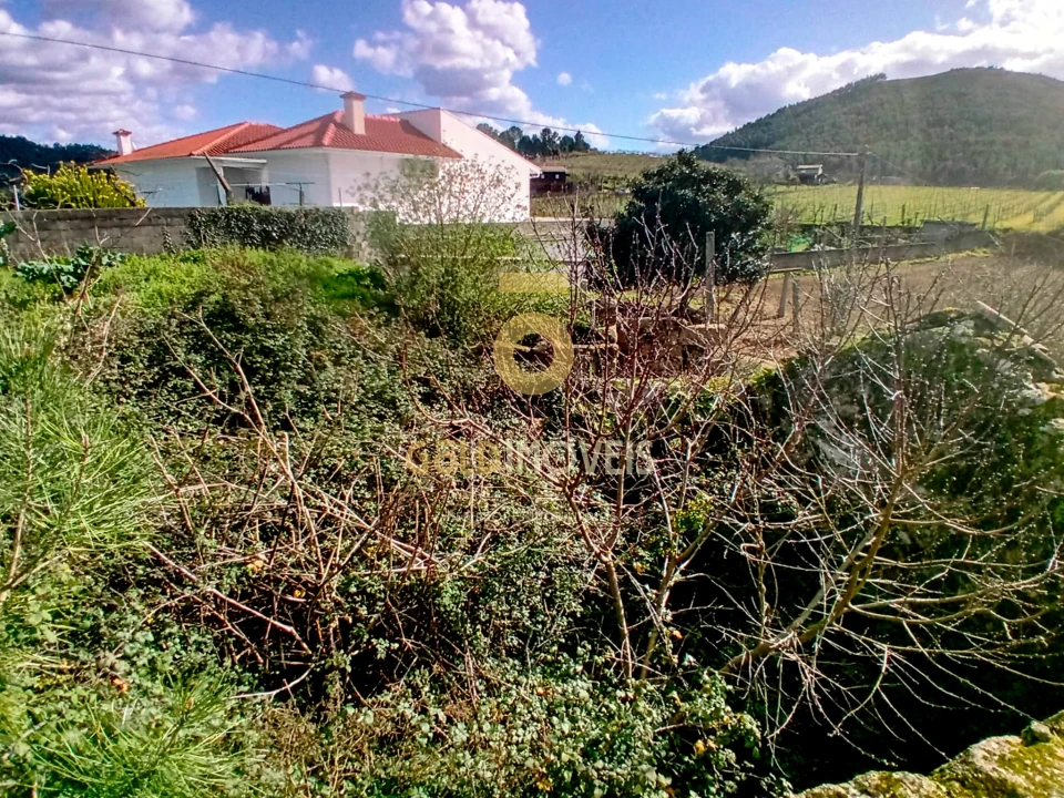 Quinta T2 para Venda em Santa Maria de Sardoura Foto 7