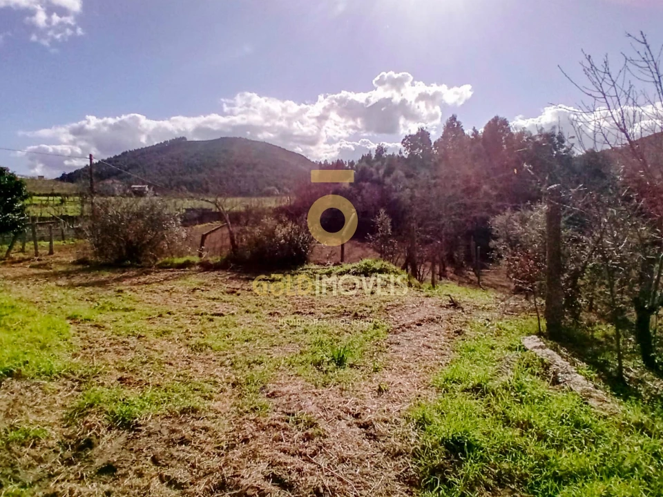 Quinta T2 para Venda em Santa Maria de Sardoura Foto 12