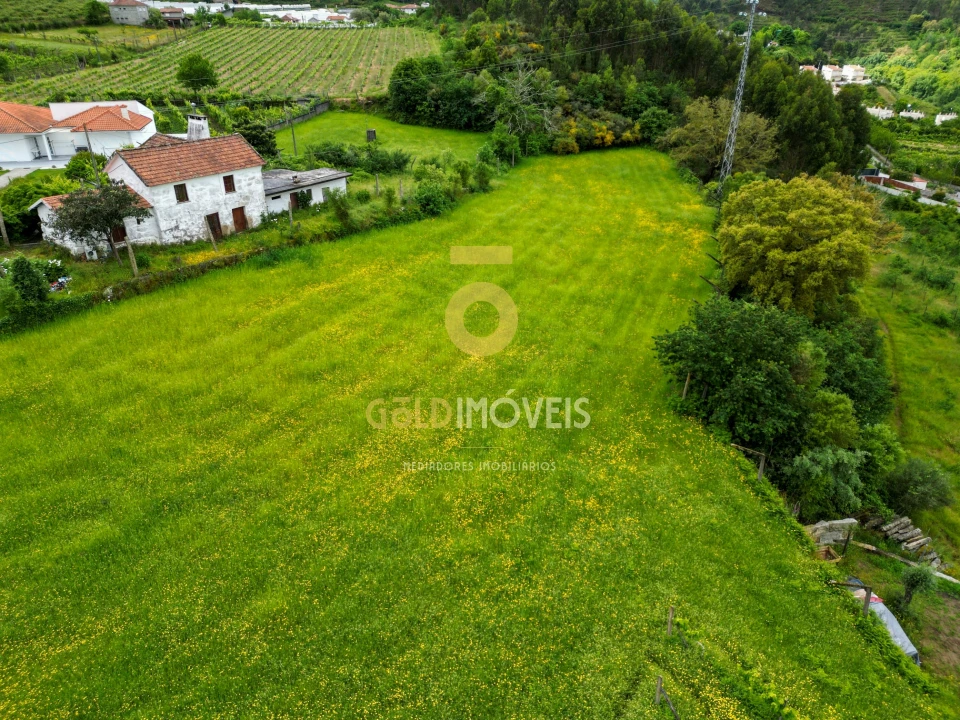 Quinta T2 para Venda em Santa Maria de Sardoura Foto 5