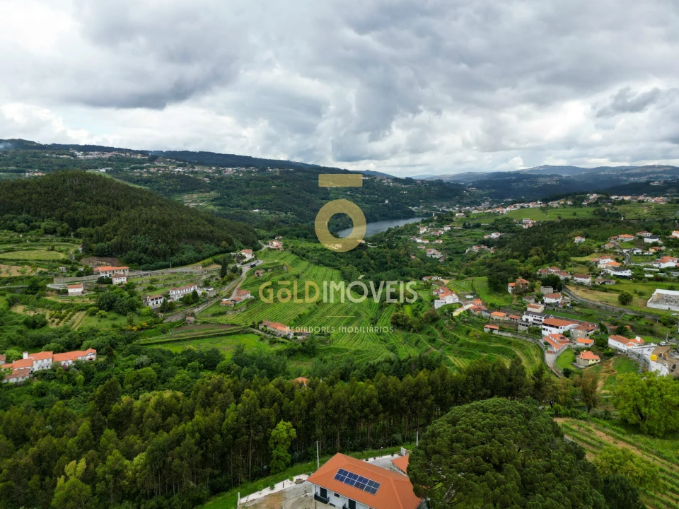 Quinta T2 para Venda em Santa Maria de Sardoura Foto 26