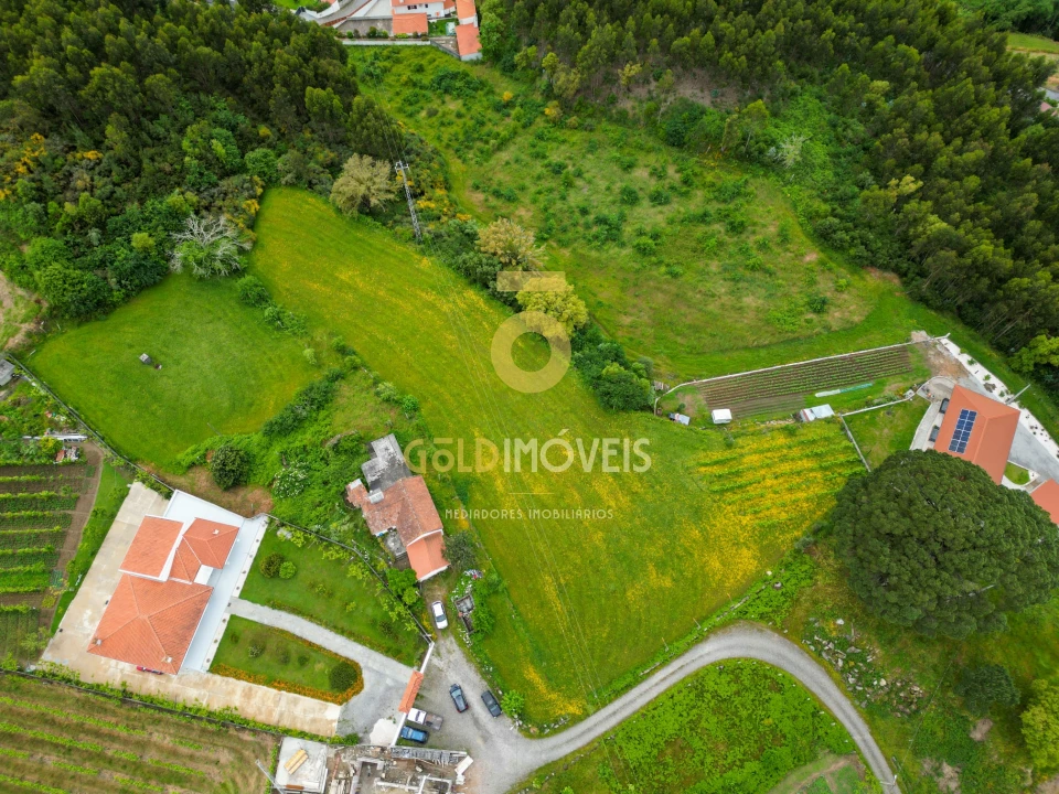 Quinta T2 para Venda em Santa Maria de Sardoura Foto 3