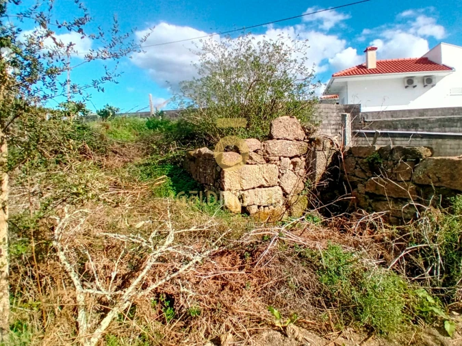 Quinta T2 para Venda em Santa Maria de Sardoura Foto 9