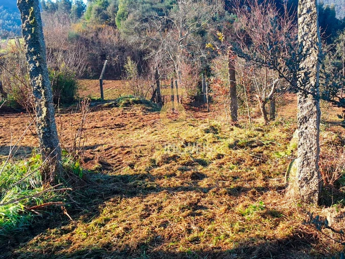 Quinta T2 para Venda em Santa Maria de Sardoura Foto 23