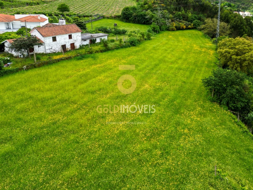Quinta T2 para Venda em Santa Maria de Sardoura Foto 2