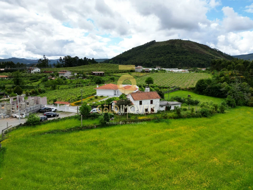Quinta T2 para Venda em Santa Maria de Sardoura Foto 1