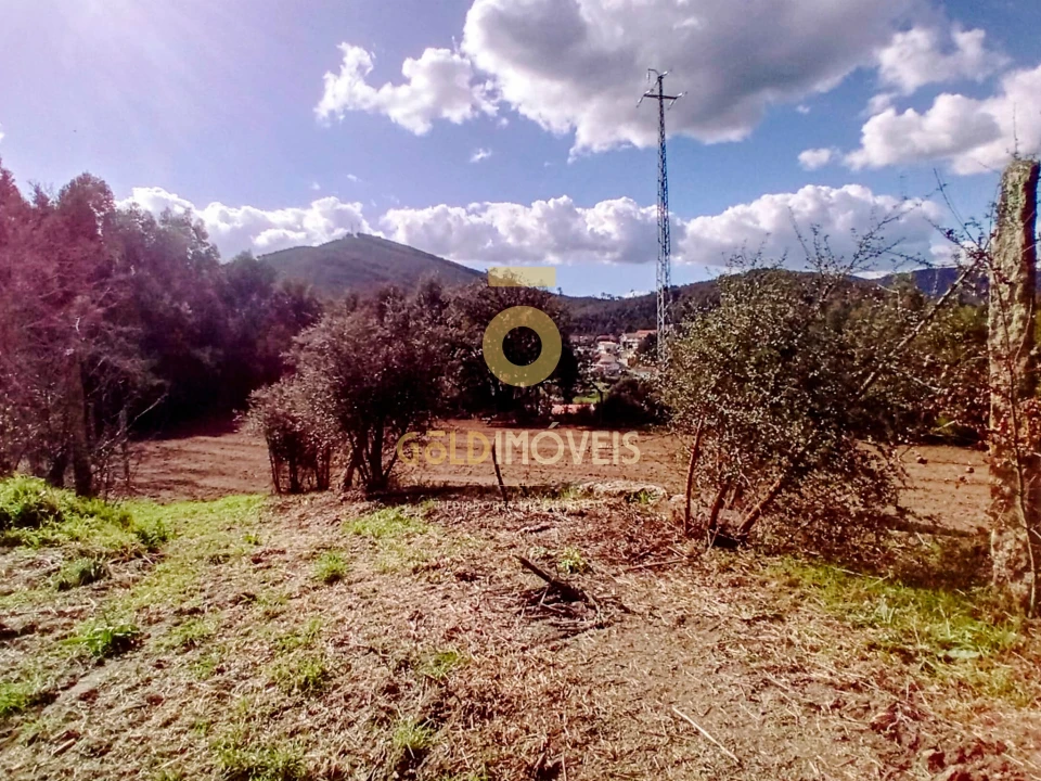 Quinta T2 para Venda em Santa Maria de Sardoura Foto 8