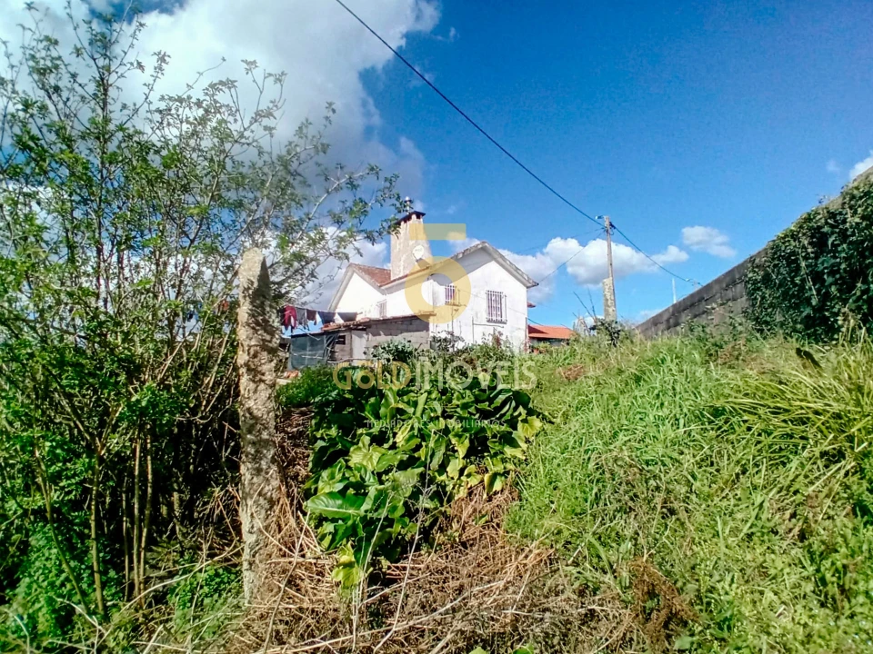 Quinta T2 para Venda em Santa Maria de Sardoura Foto 16