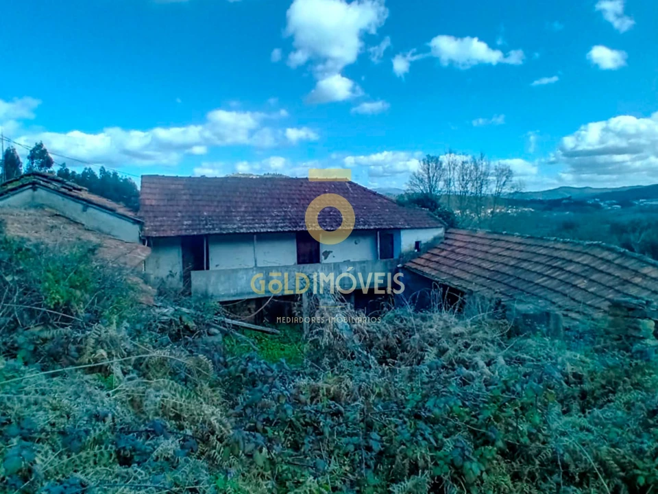 Quinta T0 para Venda em Santa Maria de Sardoura Foto 2