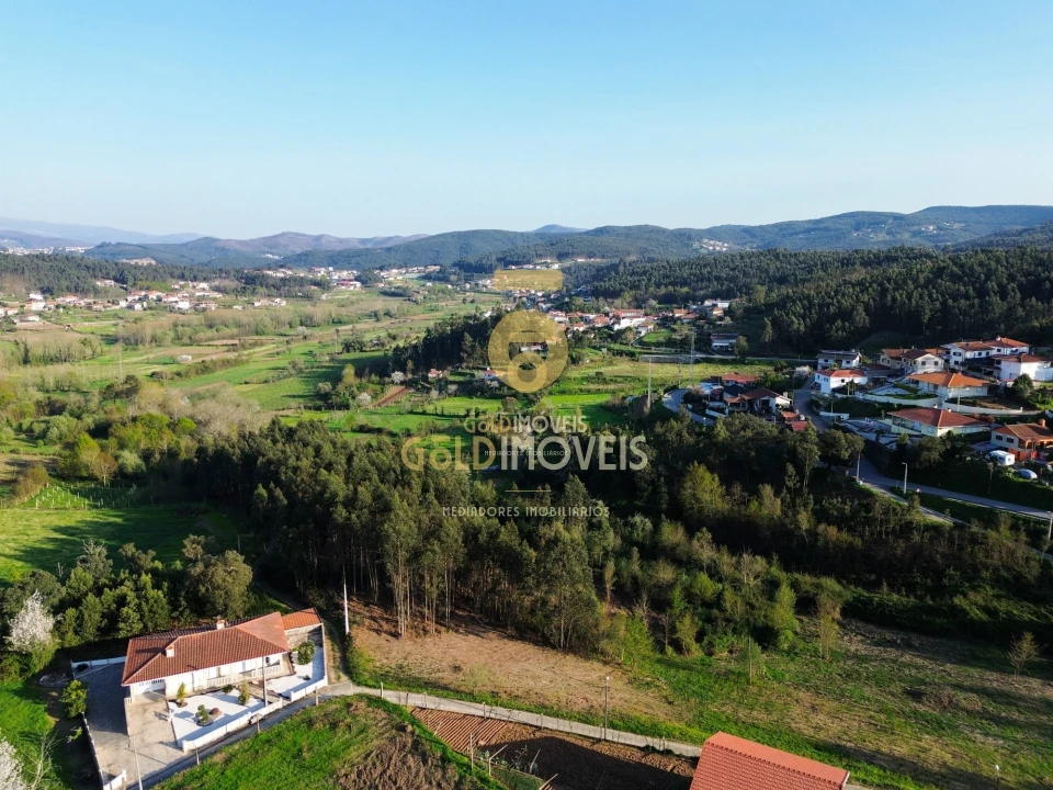 Quinta T0 para Venda em Santa Maria de Sardoura Foto 32
