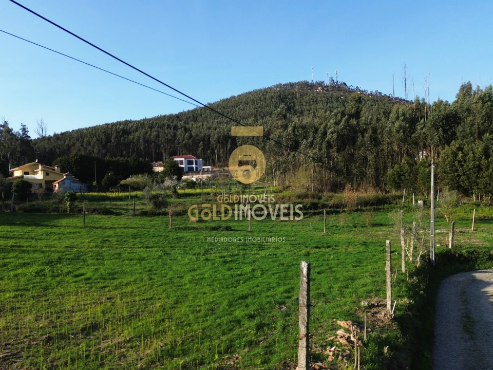 Quinta T0 para Venda em Santa Maria de Sardoura Foto 25