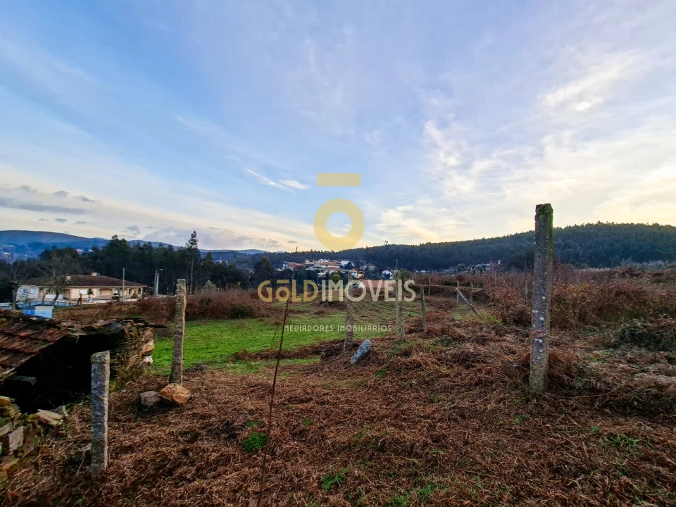 Quinta T0 para Venda em Santa Maria de Sardoura Foto 21