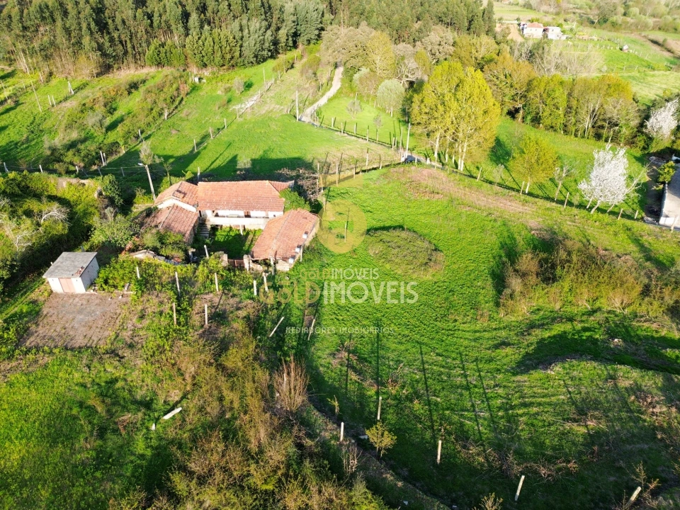 Quinta T0 para Venda em Santa Maria de Sardoura Foto 30