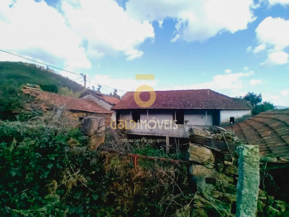 Quinta T0 para Venda em Santa Maria de Sardoura Foto 24