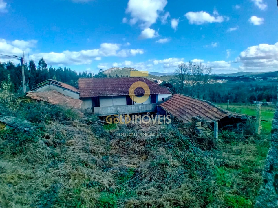 Quinta T0 para Venda em Santa Maria de Sardoura Foto 20