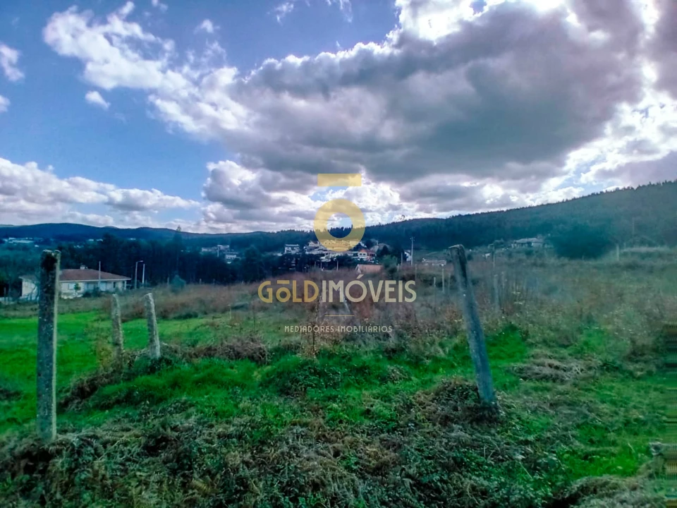 Quinta T0 para Venda em Santa Maria de Sardoura Foto 21