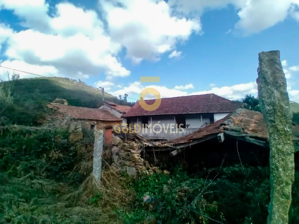 Quinta T0 para Venda em Santa Maria de Sardoura Foto 22