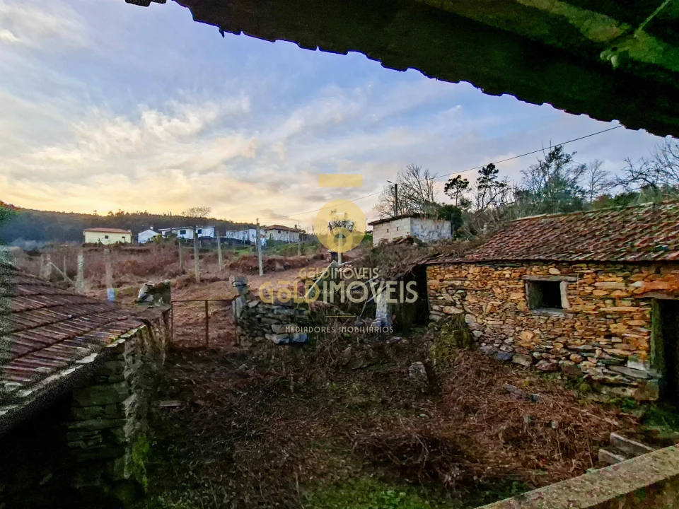 Quinta T0 para Venda em Santa Maria de Sardoura Foto 14