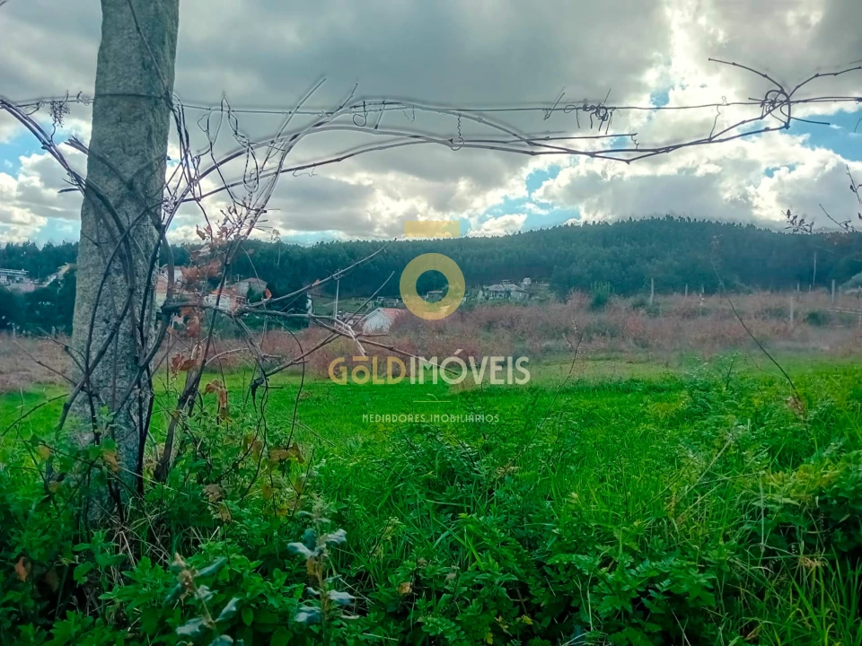 Quinta T0 para Venda em Santa Maria de Sardoura Foto 25