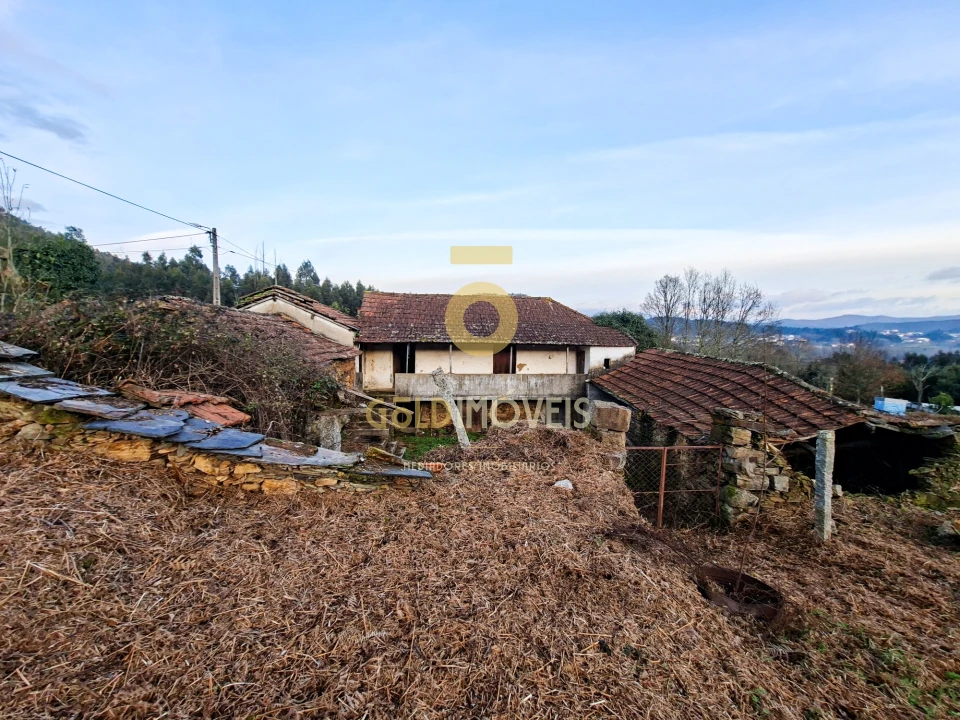 Quinta T0 para Venda em Santa Maria de Sardoura Foto 20