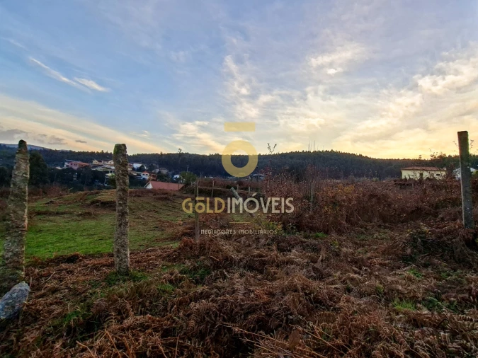 Quinta T0 para Venda em Santa Maria de Sardoura Foto 19