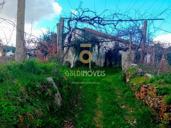 Quinta T0 para Venda em Santa Maria de Sardoura Foto 16