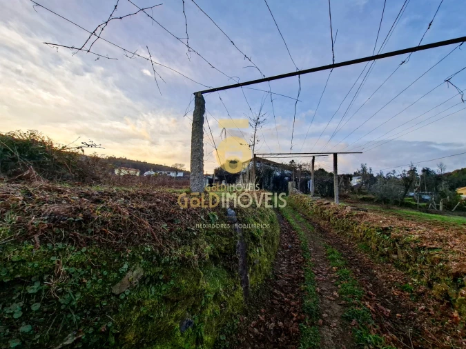 Quinta T0 para Venda em Santa Maria de Sardoura Foto 3