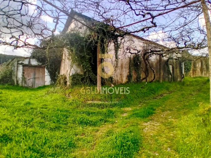 Quinta T0 para Venda em Santa Maria de Sardoura Foto 19