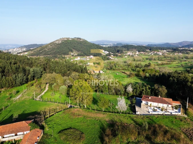 Quinta T0 para Venda em Santa Maria de Sardoura Foto 31