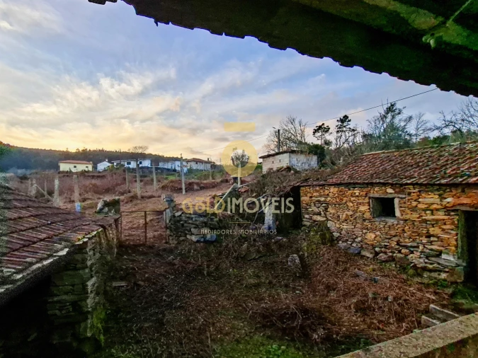 Quinta T0 para Venda em Santa Maria de Sardoura Foto 14