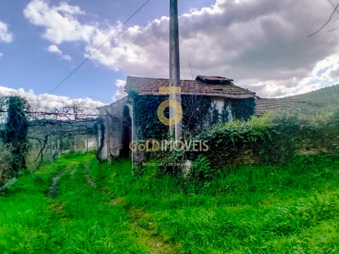 Quinta T0 para Venda em Santa Maria de Sardoura Foto 13